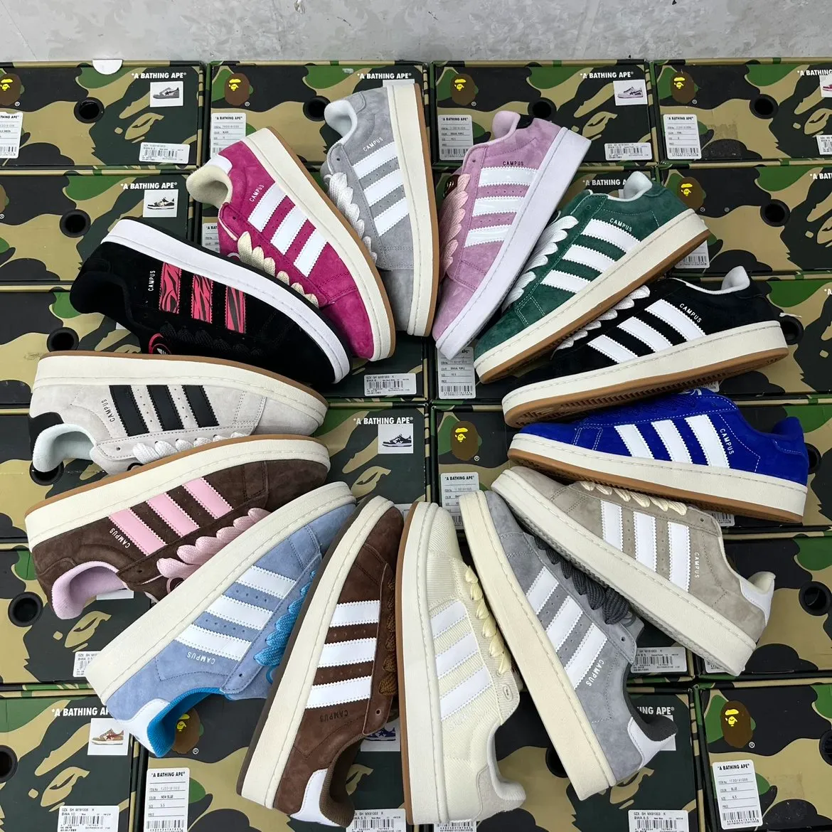Adidas Campus (Hella Colorways)